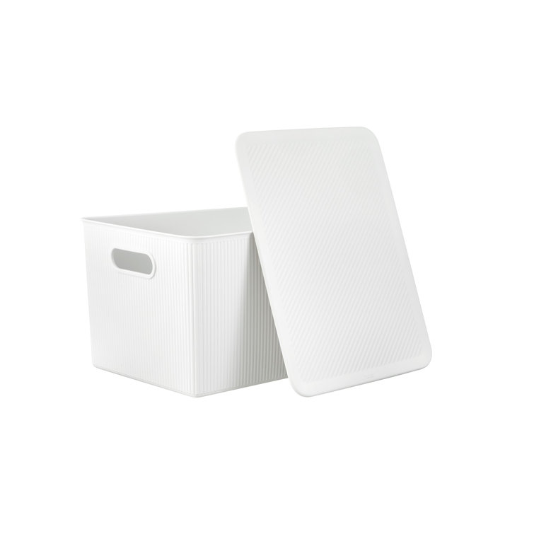 Latitude Run® Storage Bin with Matching Lid Wayfair